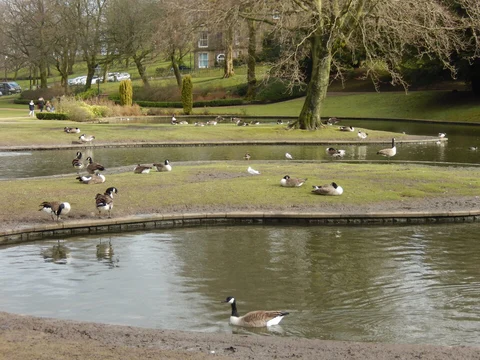 An image depicting the trail Pavilion Gardens Buxton Loop and its surrounding area.
