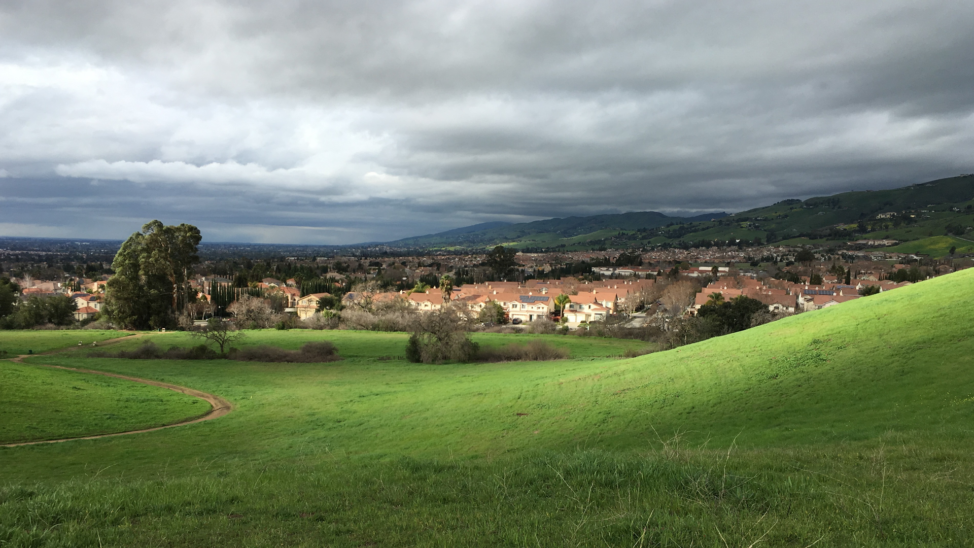 An image depicting the trail Montgomery Hill and Banana Loop and its surrounding area.