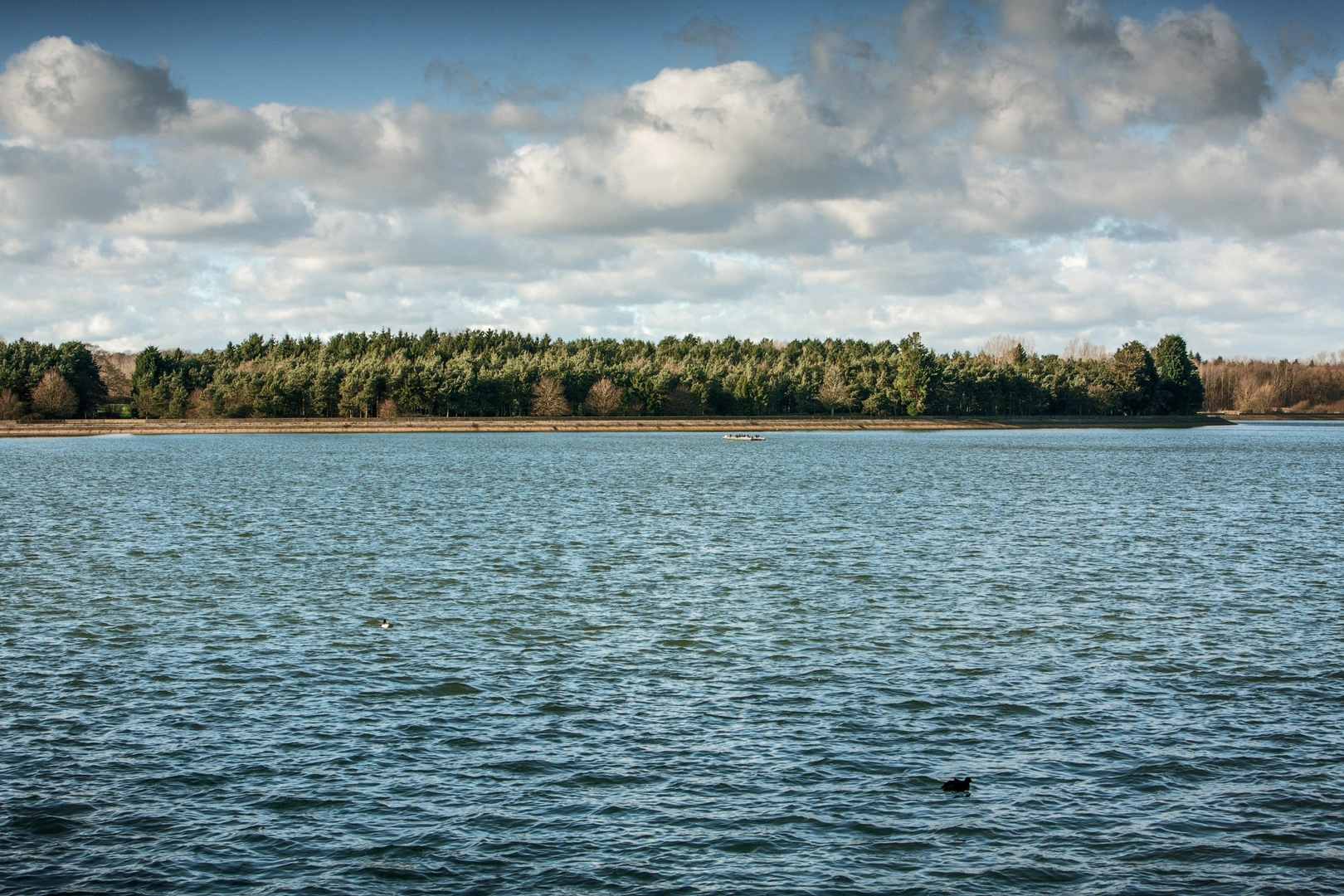 An image depicting the trail Hadleigh to Stratford Legacy Walk and its surrounding area.