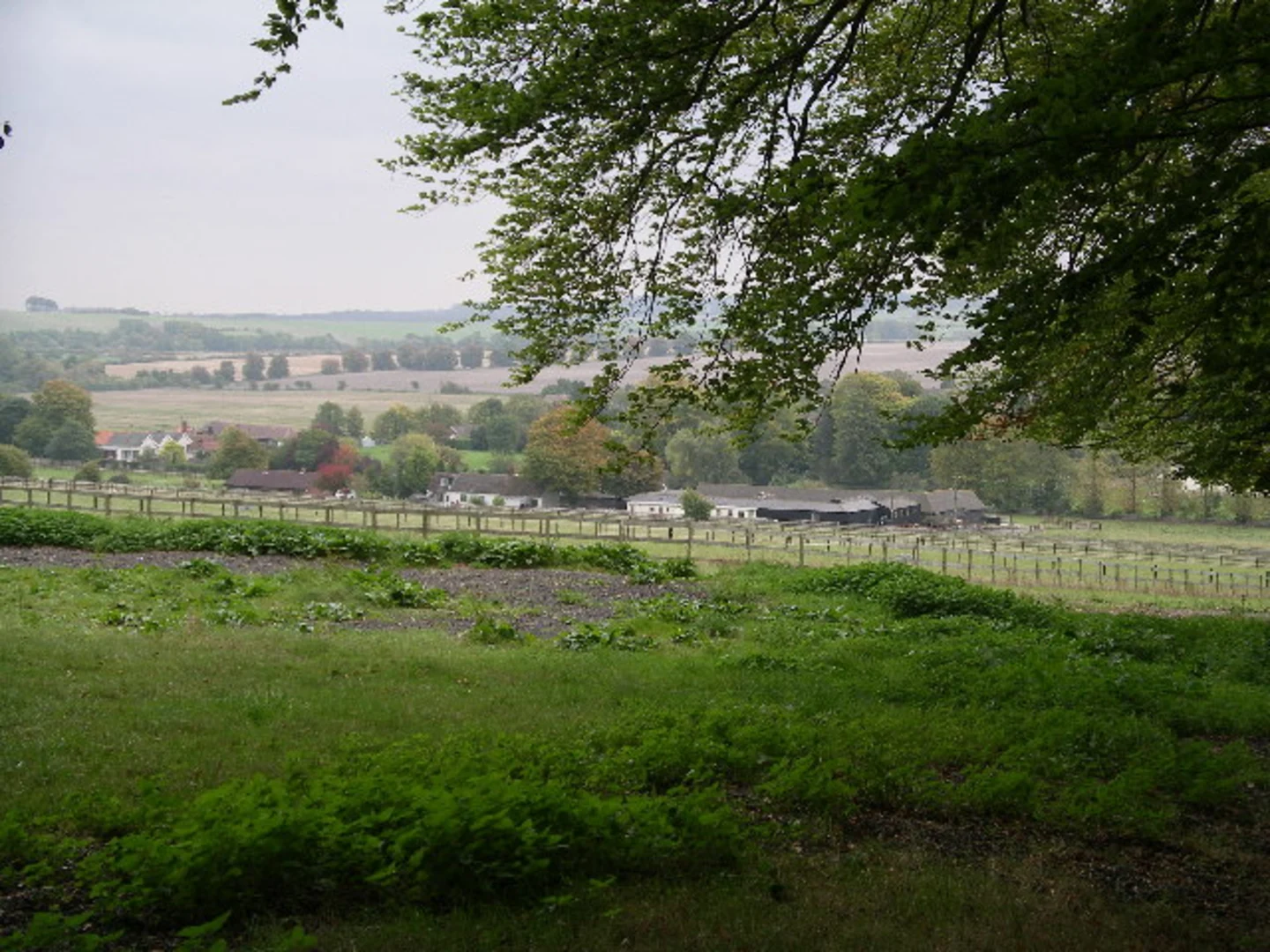 An image depicting the trail Wantage, Letcombe Regis and East Challow Loop and its surrounding area.