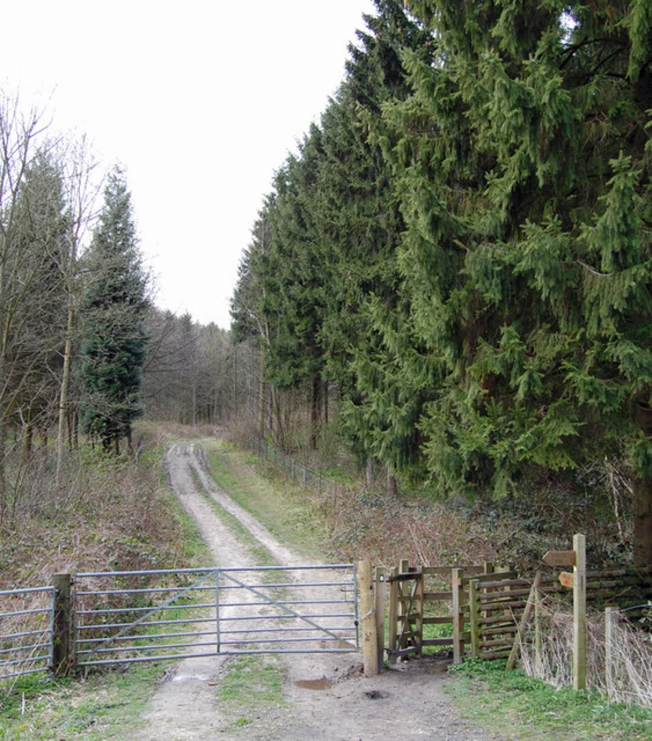 An image depicting the trail Bilks Hill, Woodland Plantation in Brantingham and its surrounding area.