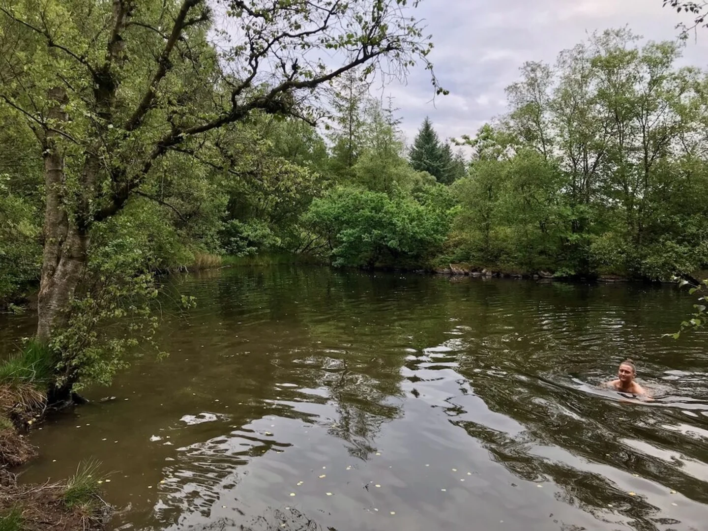 An image depicting the trail Barrow Banks and Simpson Ground Reservoir Loop and its surrounding area.