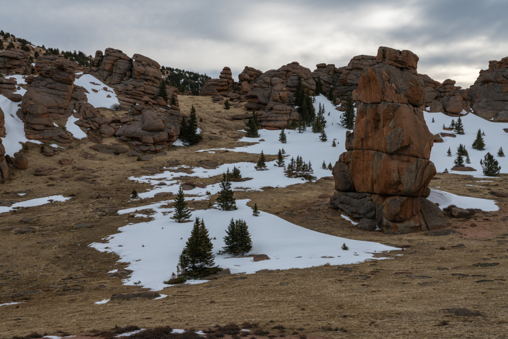 An image depicting the trail Ute Creek Trail and its surrounding area.