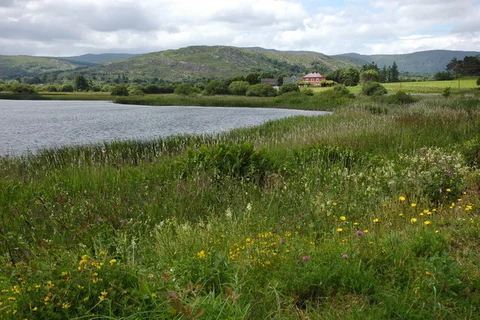 An image depicting the trail Ballingeary Loops – Rathgaskig Loop and its surrounding area.