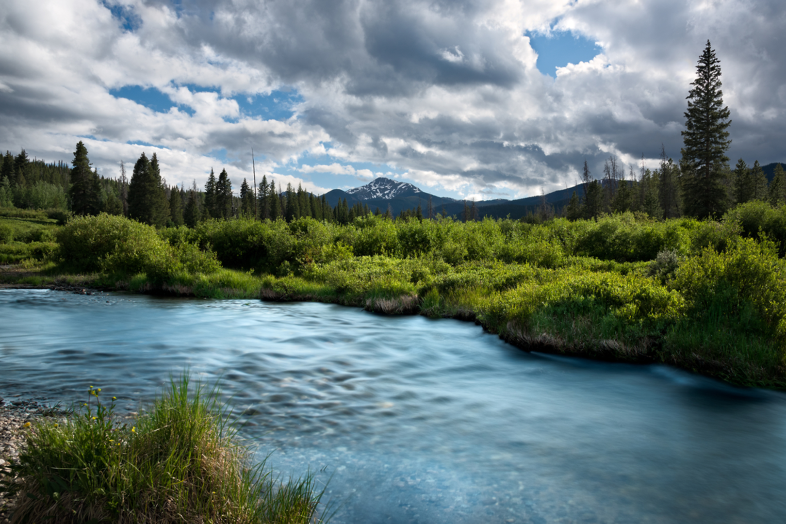 An image depicting the trail Chainsaw Trail and its surrounding area.