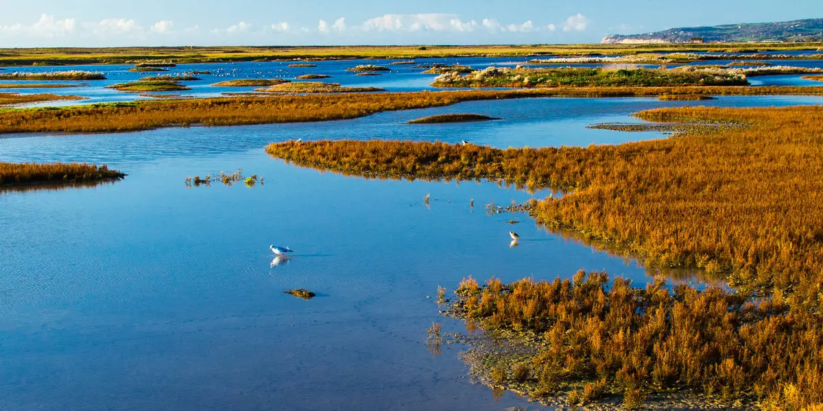 Rye Harbour Circular
