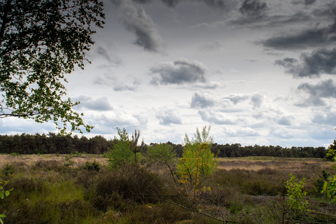 De Boberden, Gastelsche Heide, Budelerbergen and Tungelerwallen Loop