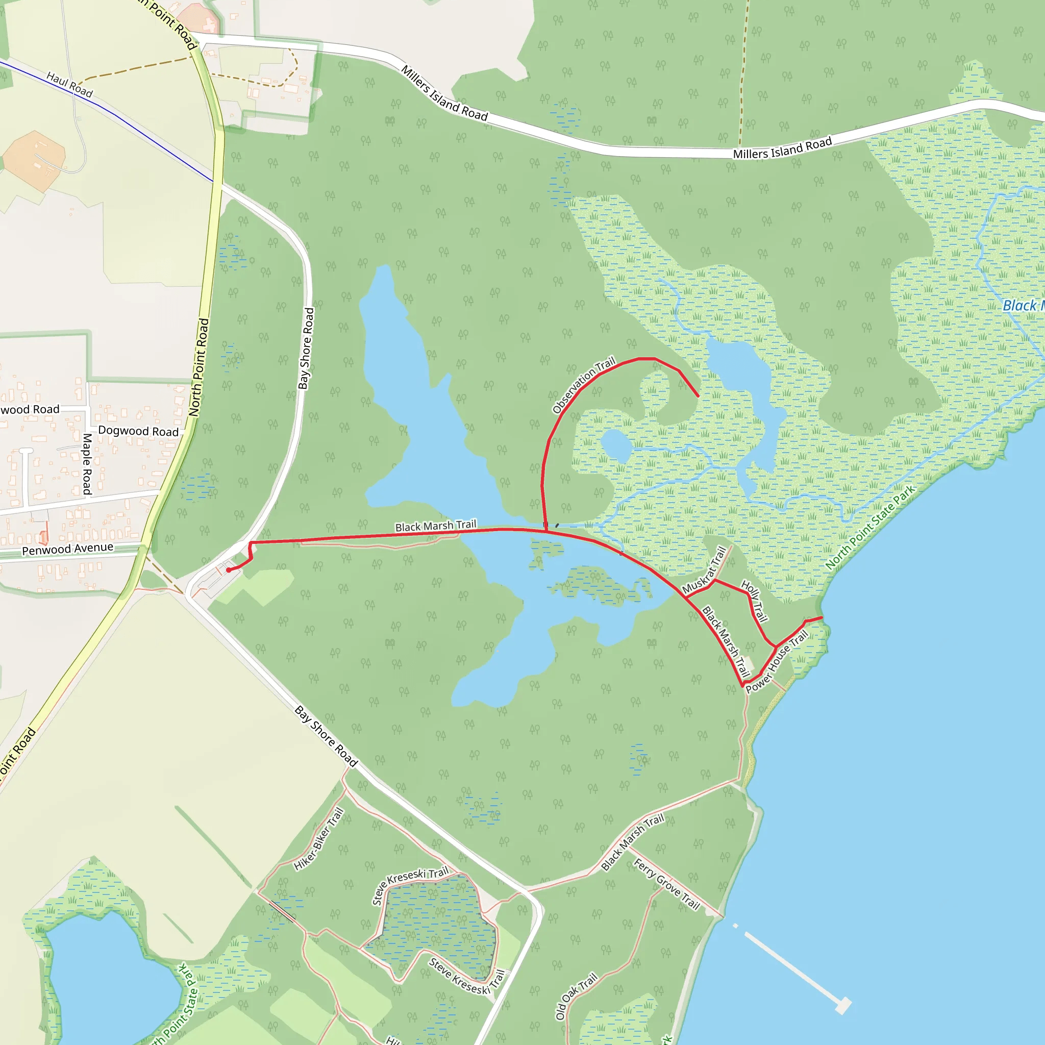 Observation - Holly - Black Marsh Trail mobile static map