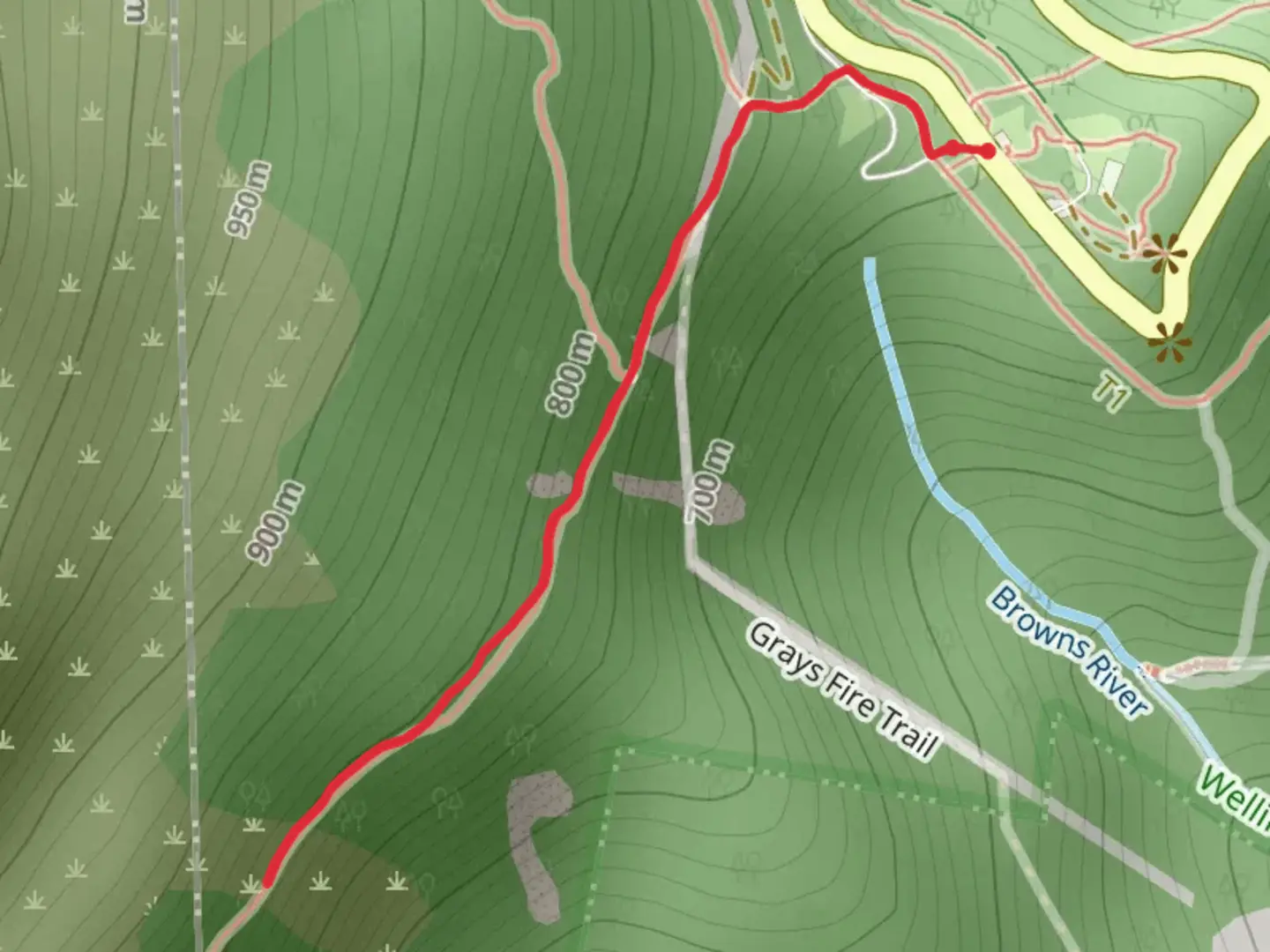 An image depicting the trail The Springs to Milles Track Lookout and its surrounding area.