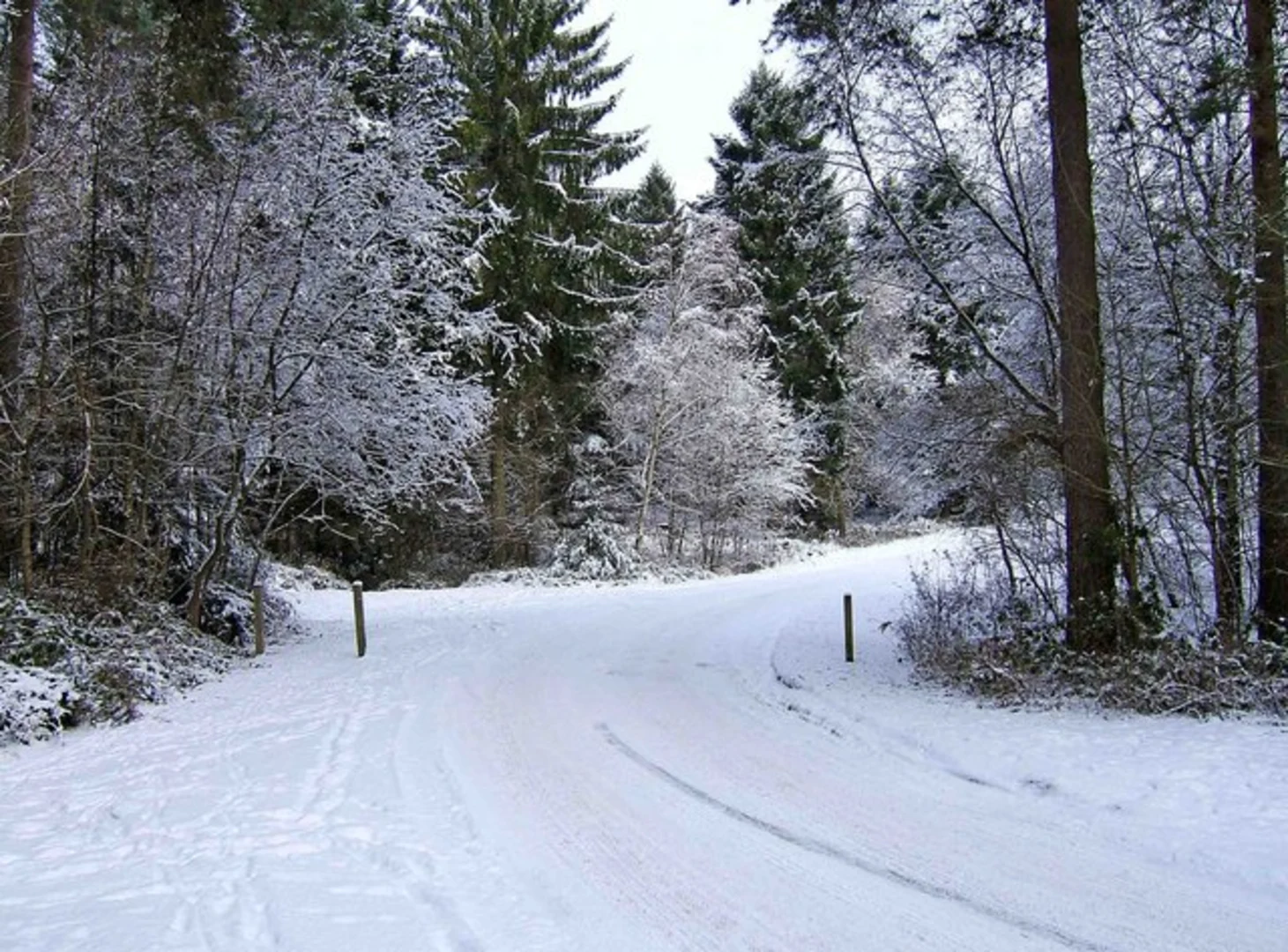 An image depicting the trail Pound Green and Dowles Brook from Hawkbatch and its surrounding area.