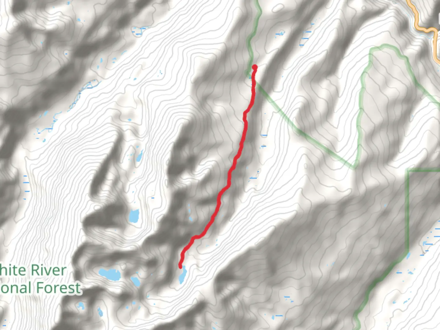 An image depicting the trail Lake Constantine and Fall Creek Trail and its surrounding area.