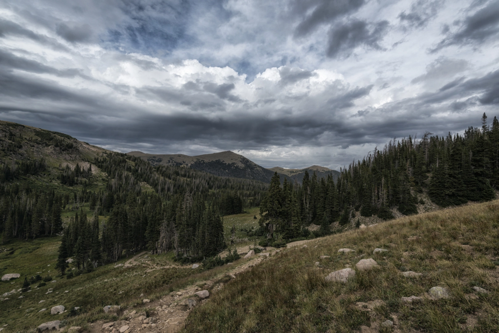An image depicting the trail Shipman Park Trail and its surrounding area.
