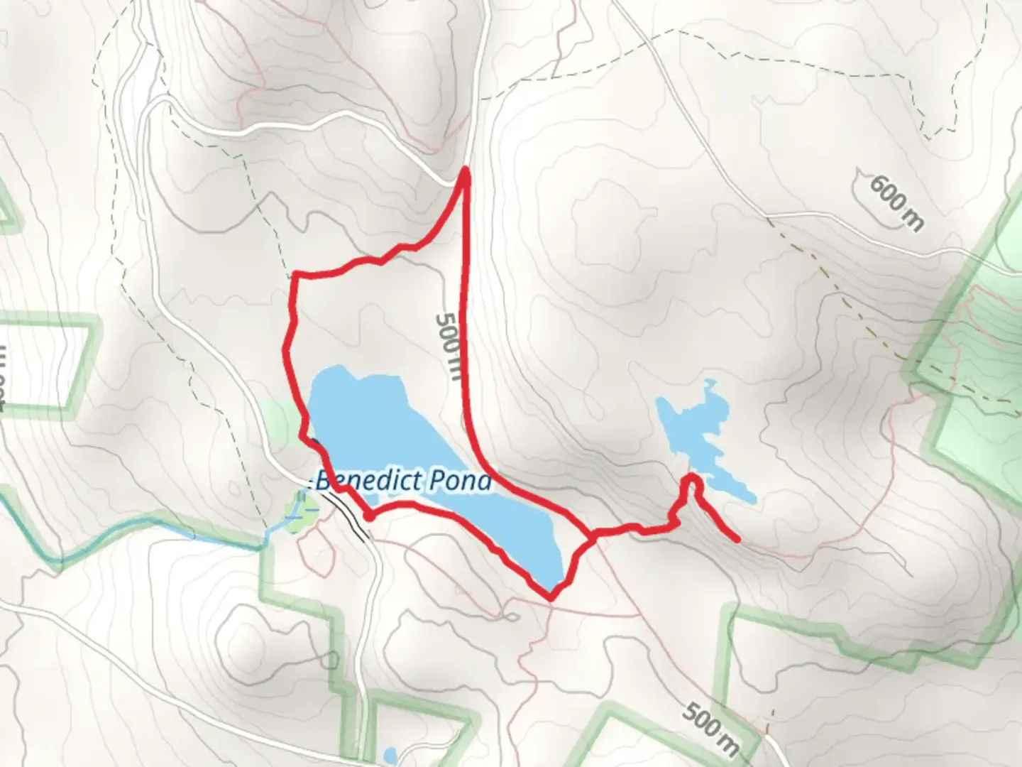 An image depicting the trail Benedict Pond Loop and its surrounding area.