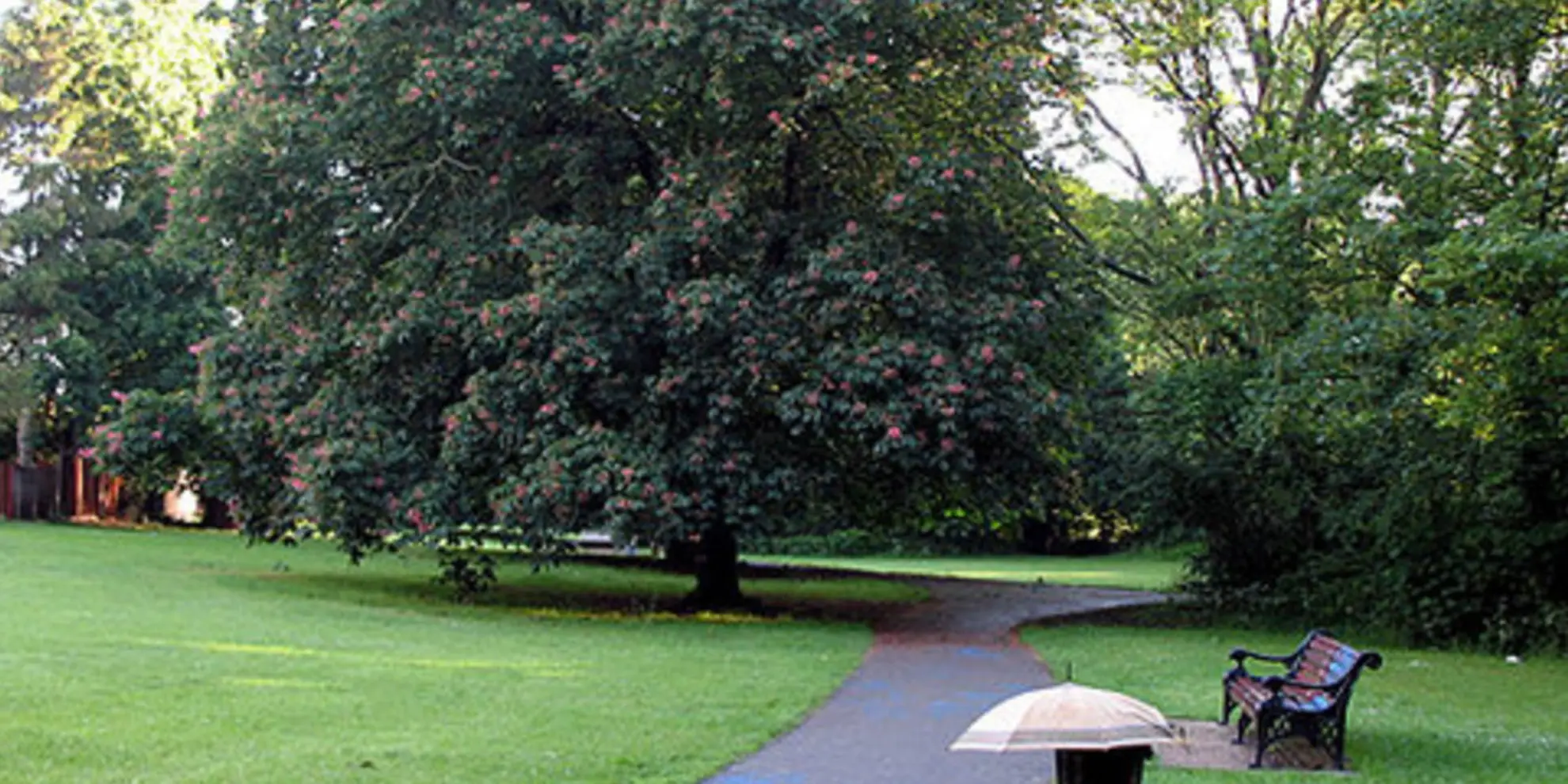 An image depicting the trail Dollis Valley Greenwalk and its surrounding area.