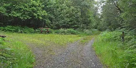 An image depicting the trail Brackloon Woods Loop and its surrounding area.