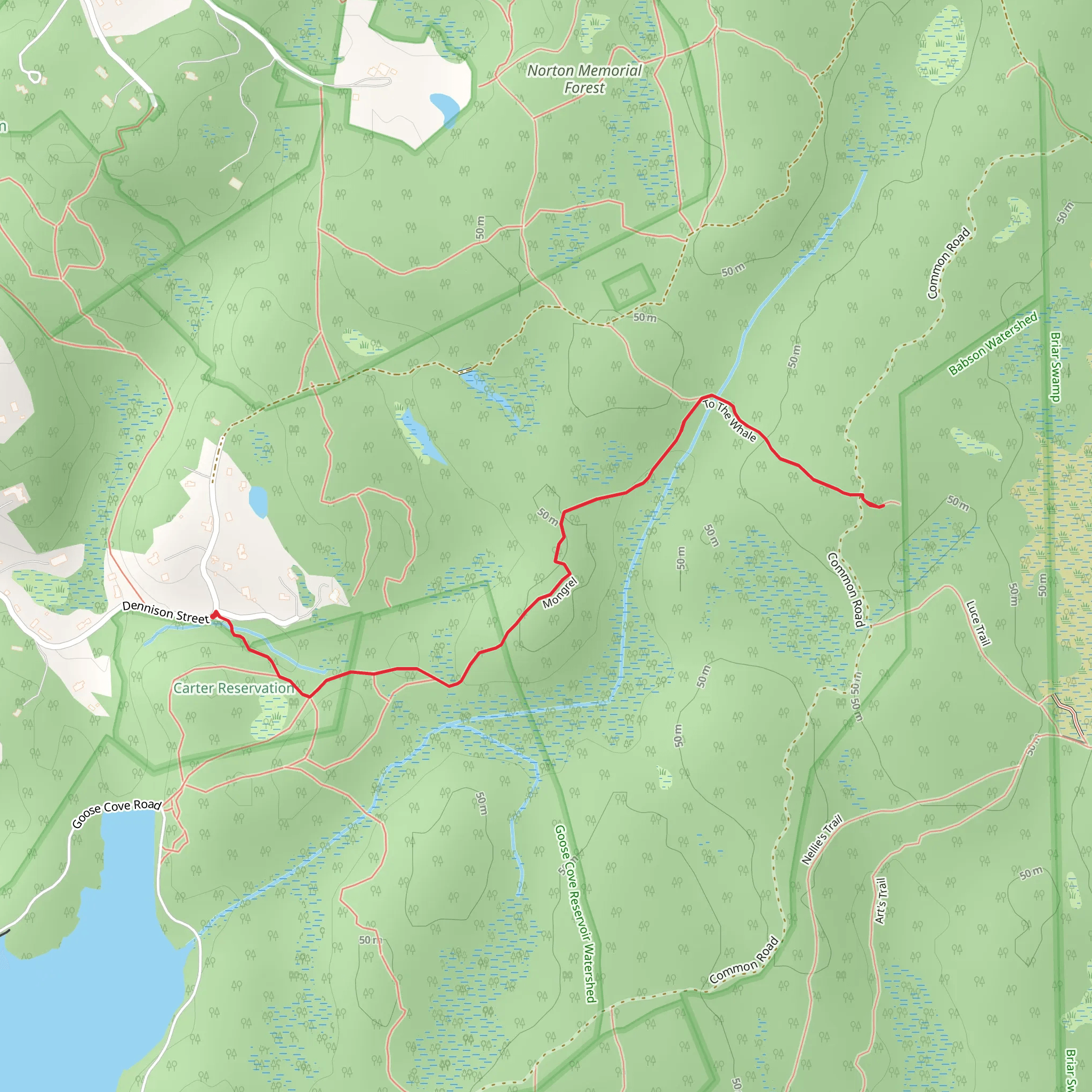 Mongrel Trail - Dogtown Woods mobile static map