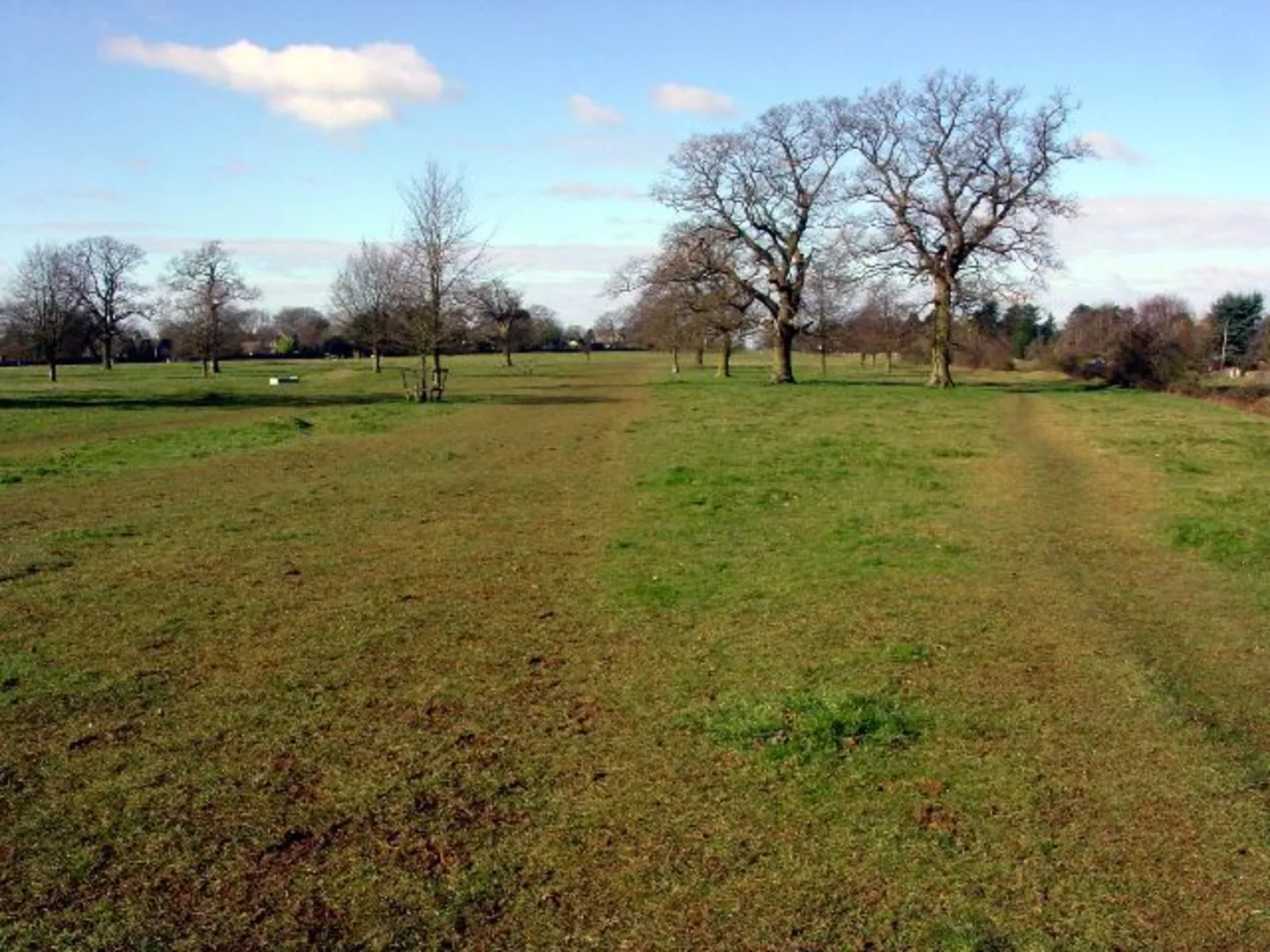 An image depicting the trail Minchinhampton and its surrounding area.