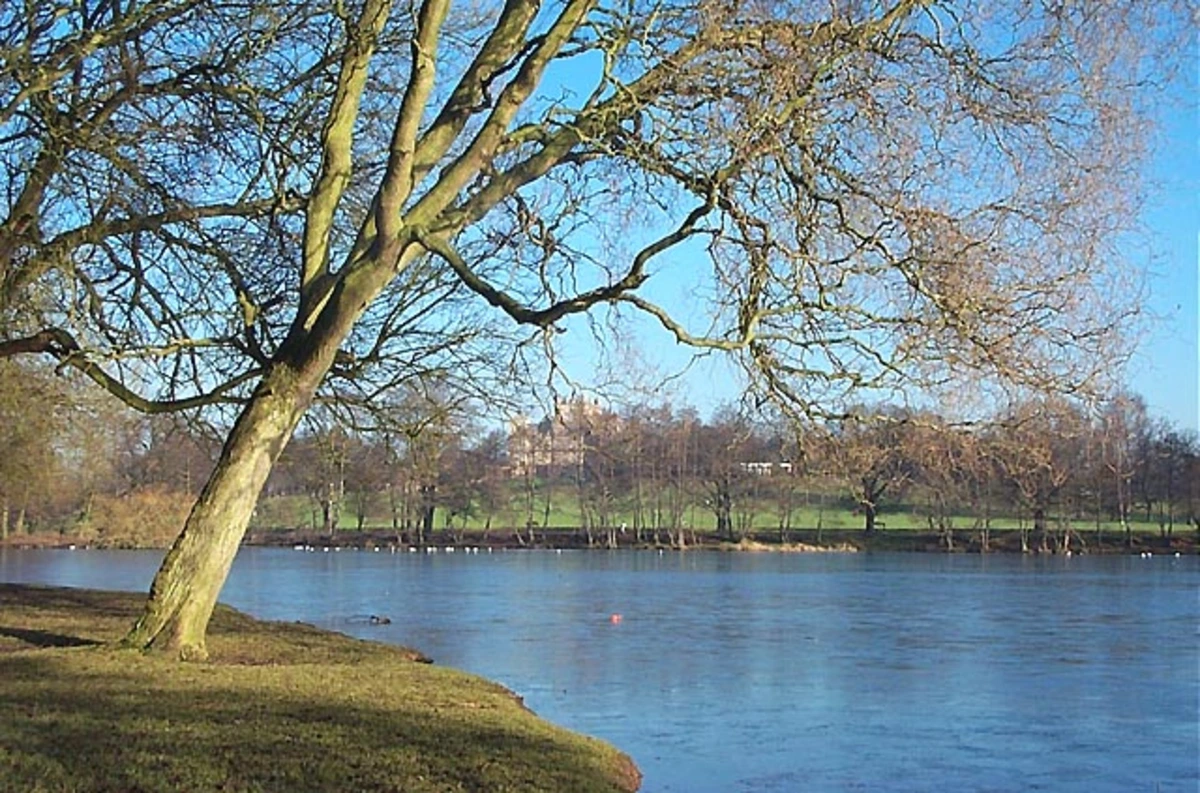 Wollaton Park and The Lake Loop