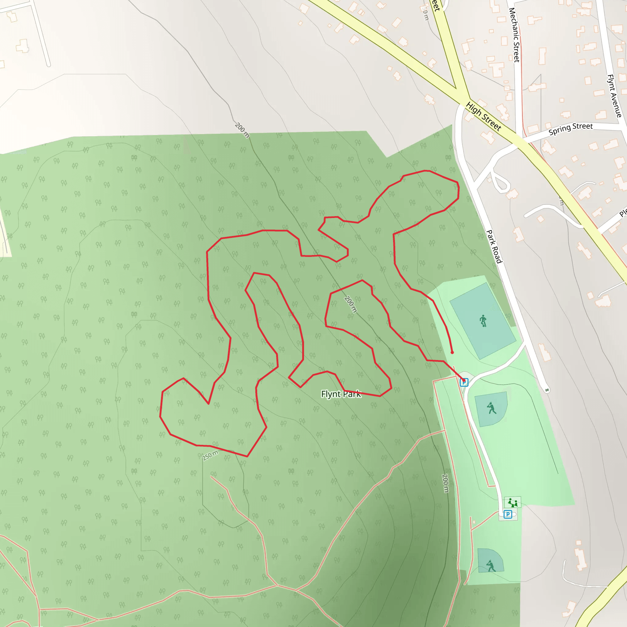 Flynt Park Loop mobile static map