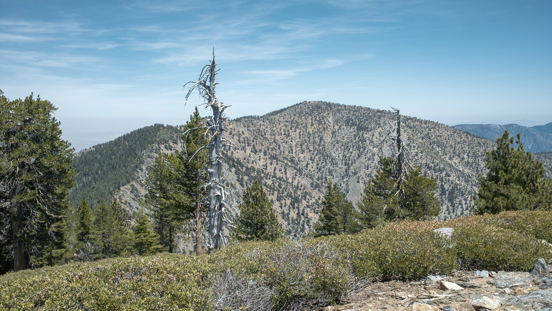 An image depicting the trail Mount Baden-Powell, Mount Burnham, Throop Peak and Mount Hawkins and its surrounding area.