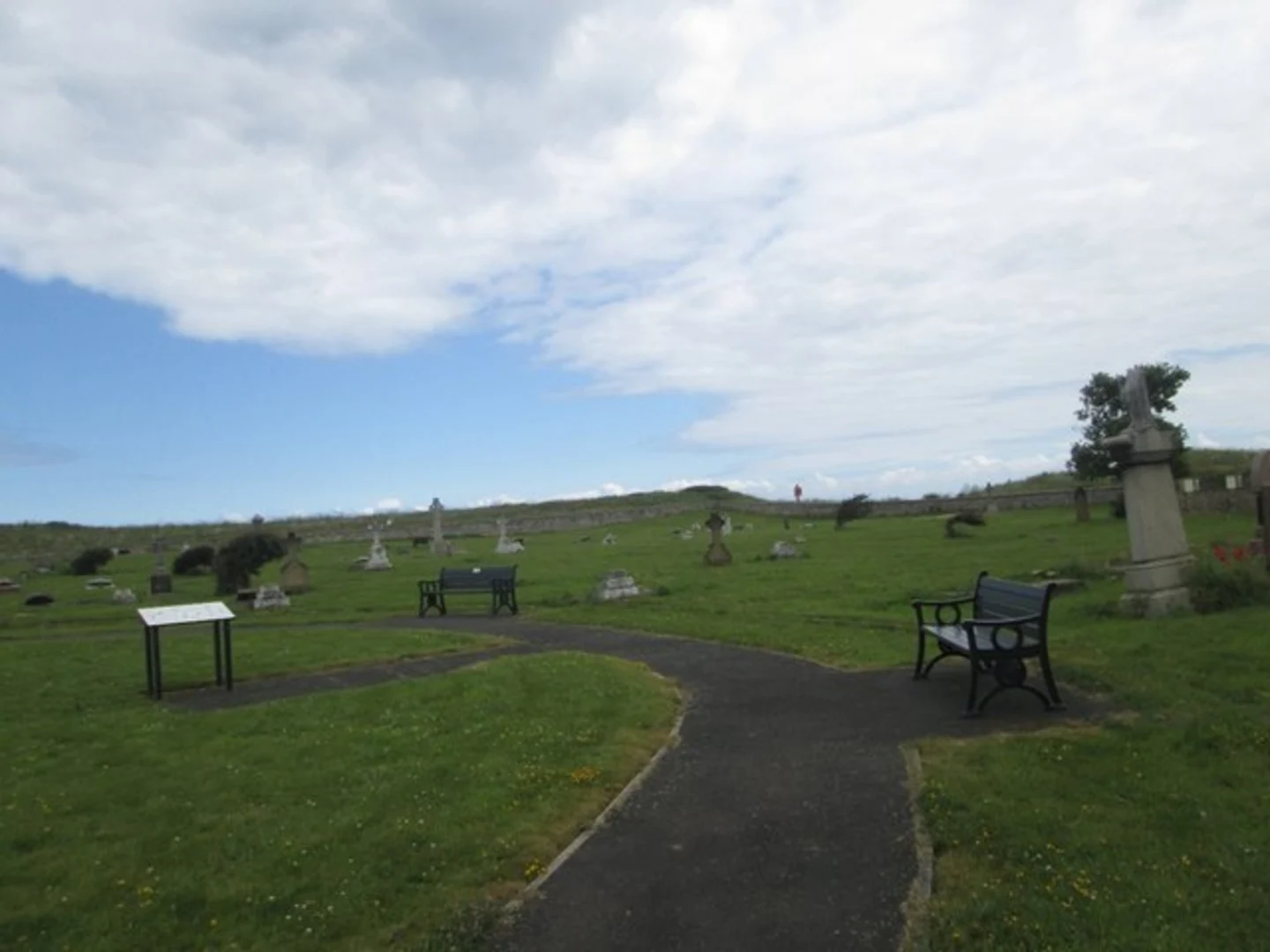 An image depicting the trail Amble to Warkworth Walk and its surrounding area.