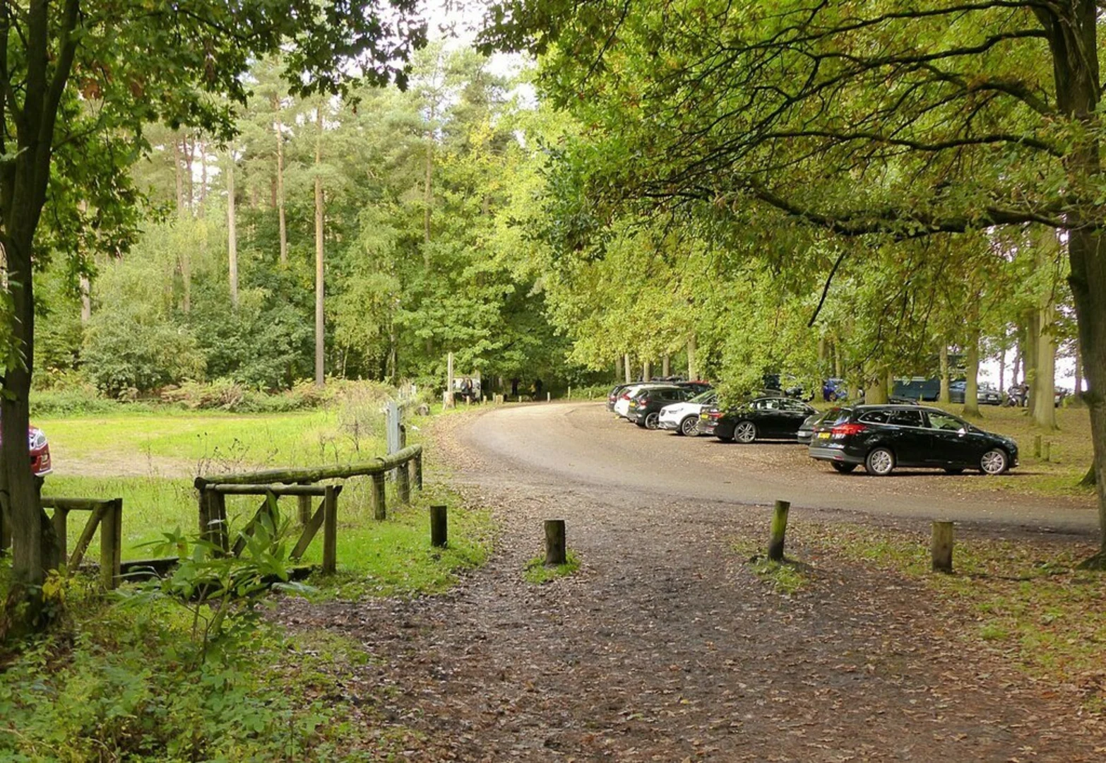 An image depicting the trail Blidworth Woods Loop and its surrounding area.