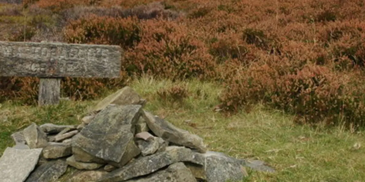 Llandeilo Hill from Aberedw