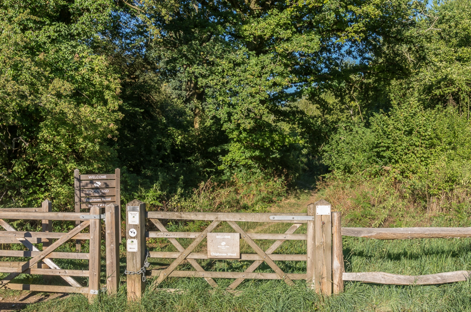 An image depicting the trail Kingswood East Loop Walk and its surrounding area.