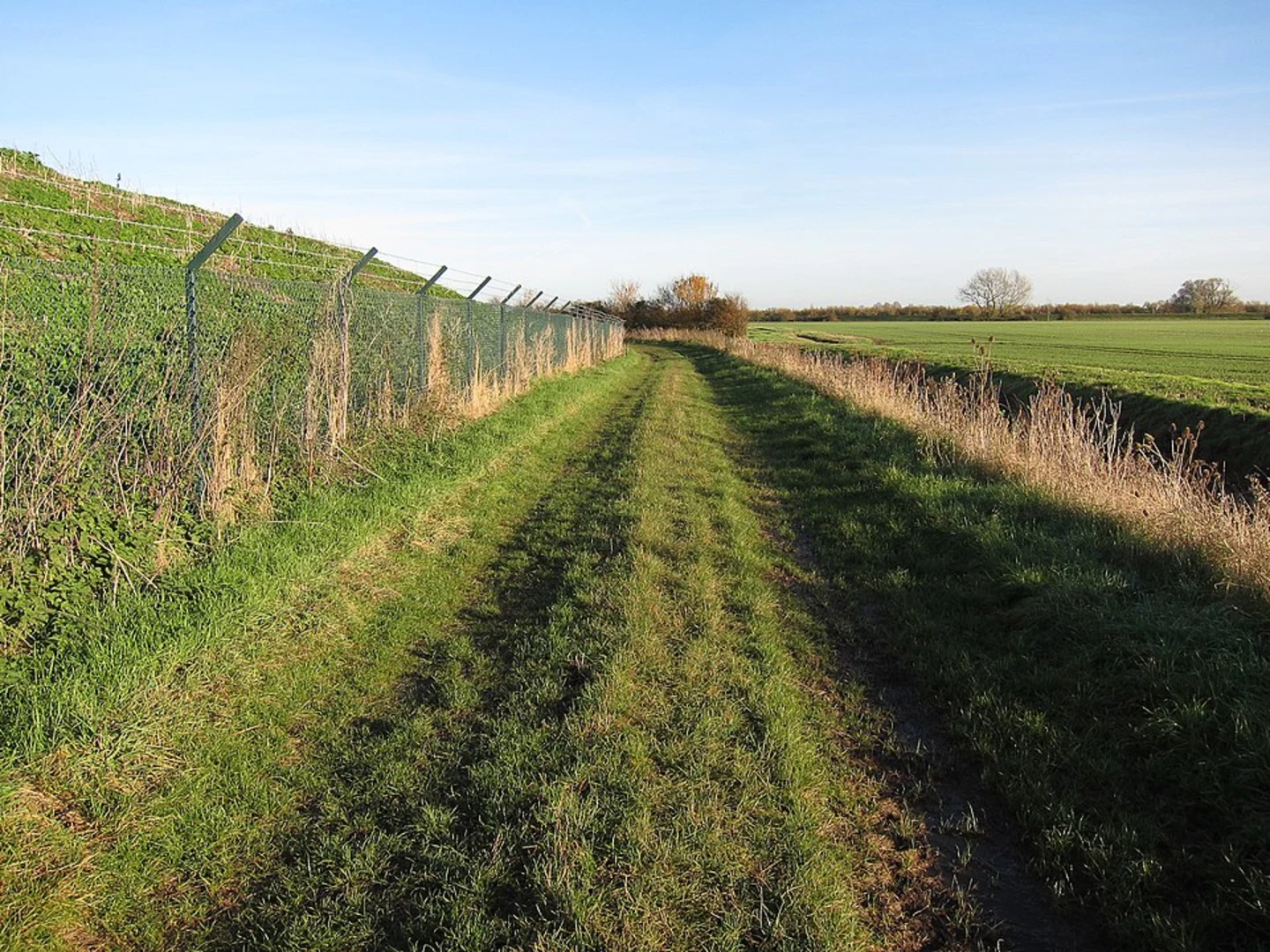 An image depicting the trail Ouse Fen Nature Reserve Loop and its surrounding area.