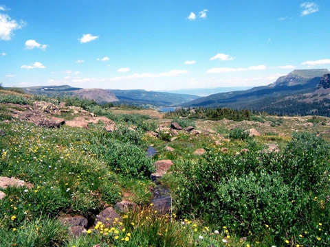 An image depicting the trail Hooper Lake Trail and its surrounding area.