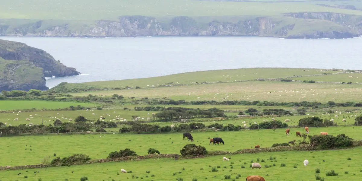 Abercastle - Aber Mawr