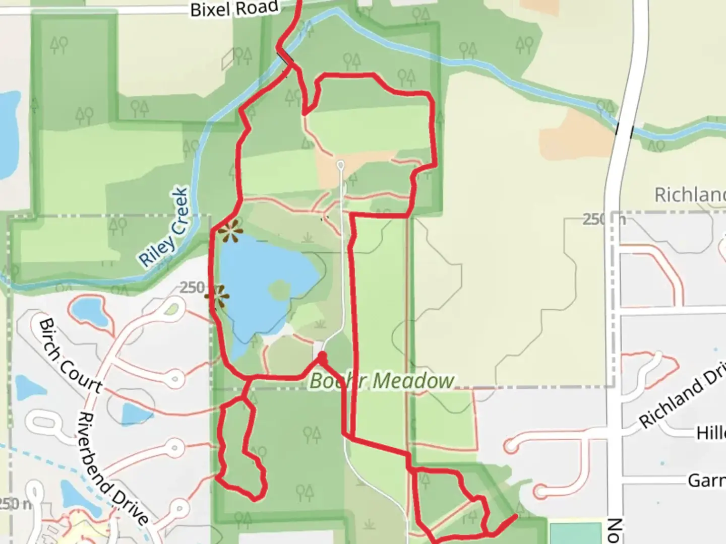 An image depicting the trail Bluffton College Lake, South Woods, East Woods and Swinging Bridge Loop Trail and its surrounding area.