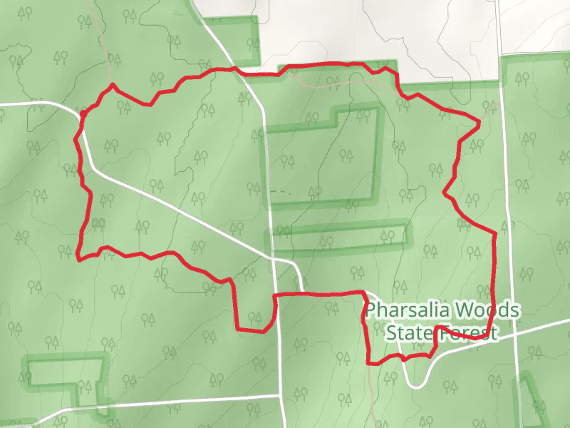 Blue Loop - Pharsalia