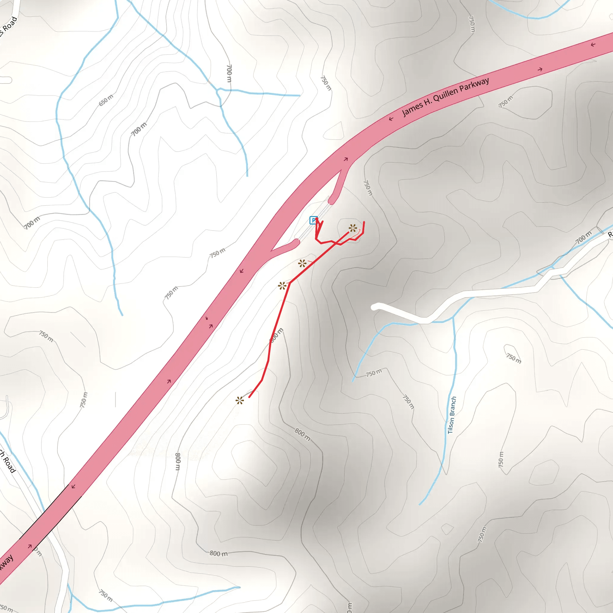 James H Quillen Parkway mobile static map