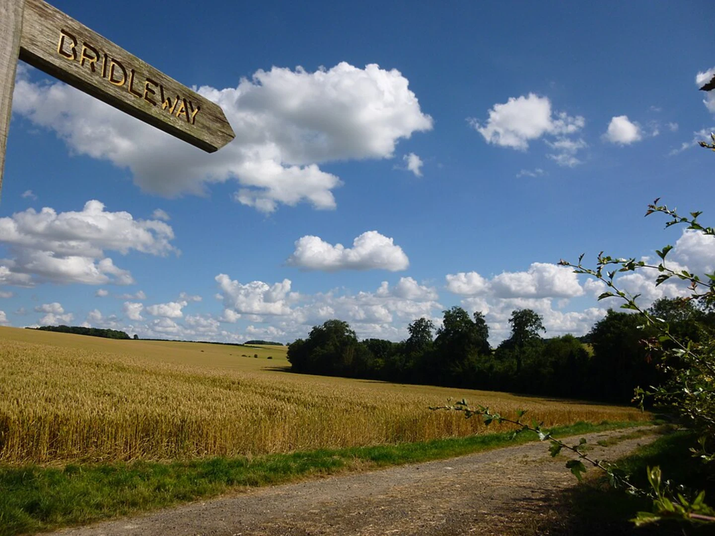 An image depicting the trail Saffron to Clavering Loop and its surrounding area.
