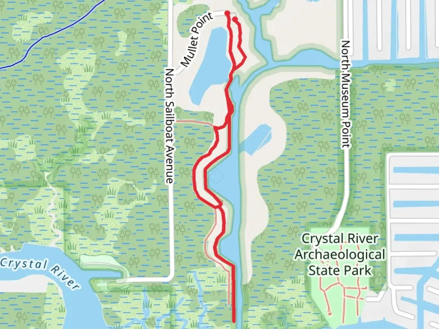 An image depicting the trail Crystal River Preserve State Park Loop Trail and its surrounding area.