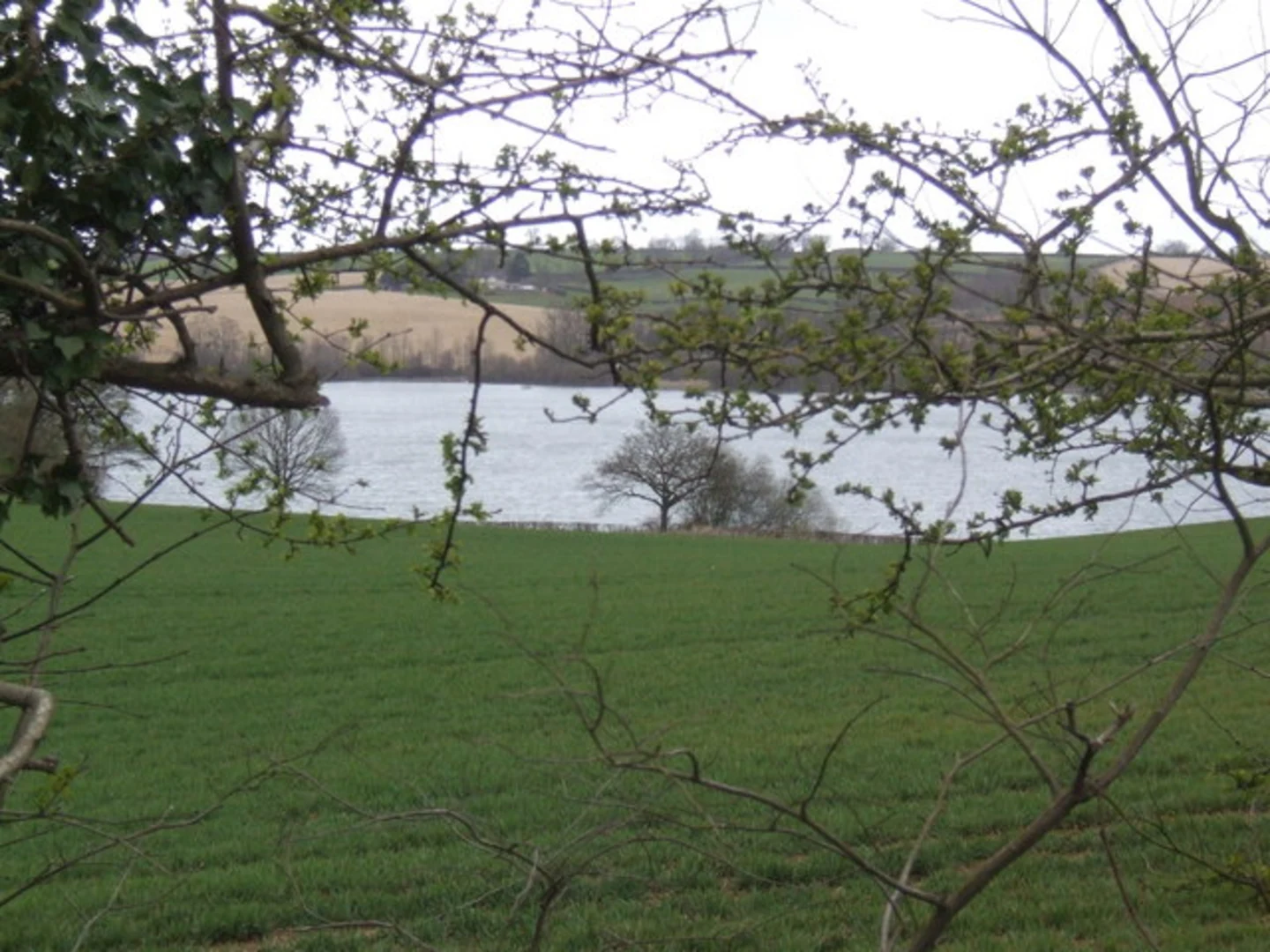 An image depicting the trail Ravensthorpe Reservoir Walk and its surrounding area.