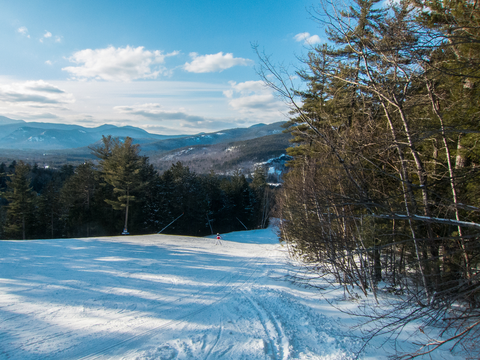 An image depicting the trail Stairs Col Trail via Rocky Branch Trail and its surrounding area.