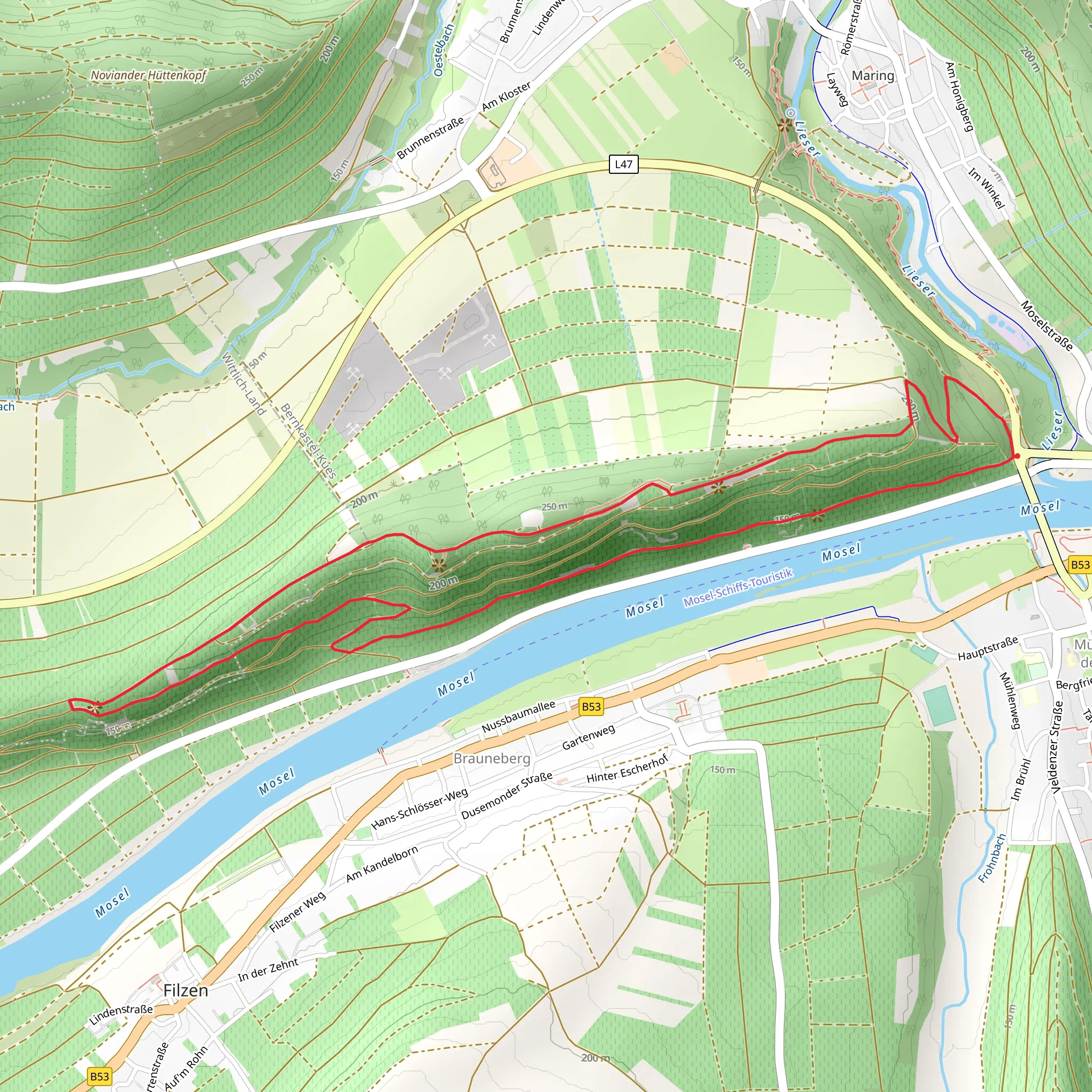 Mosel Camino and Brauneberg Jufferweg mobile static map