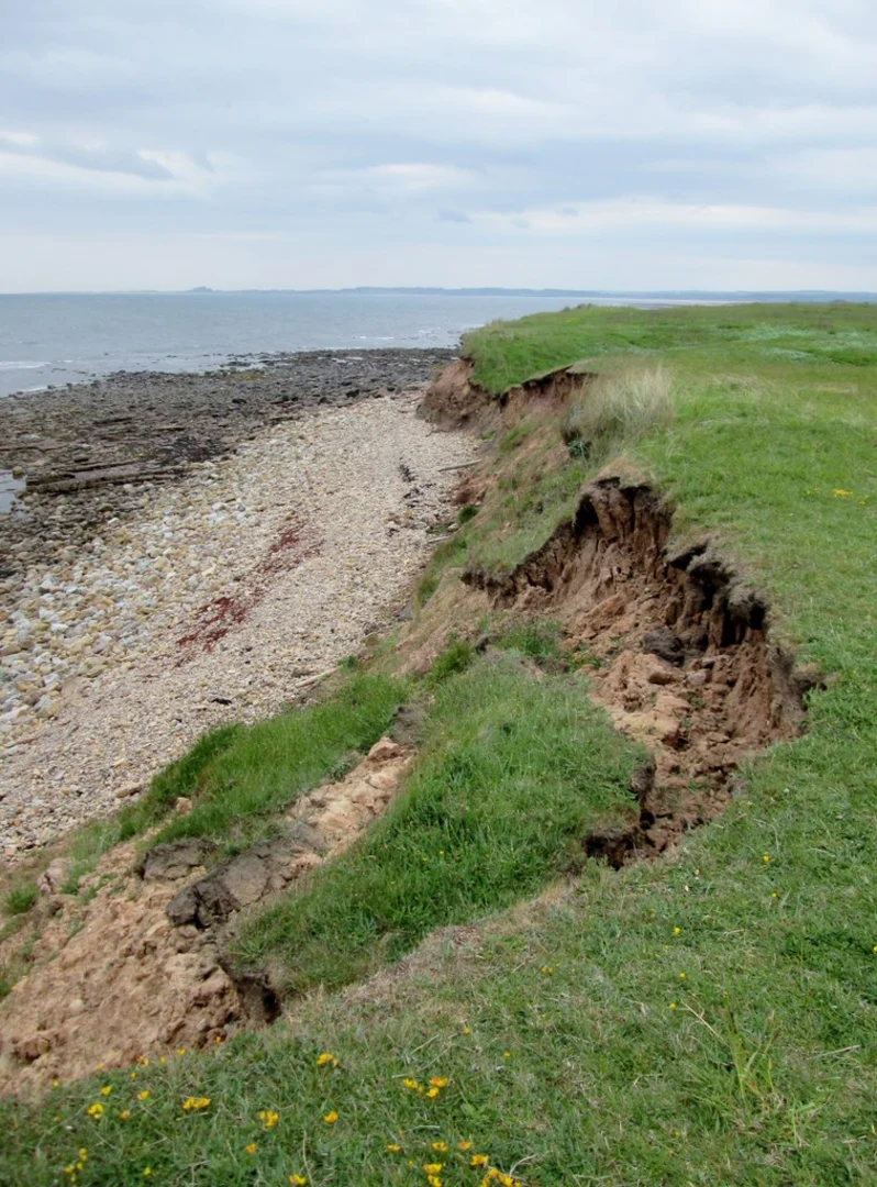 An image depicting the trail Holy Island of Lindisfarne Loop and its surrounding area.