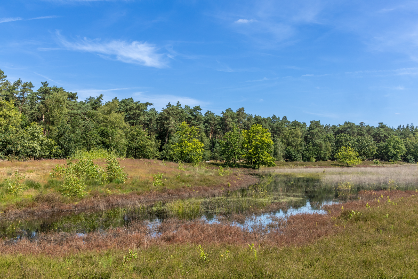 An image depicting the trail Luchensche Heide and Molenheide Loop and its surrounding area.