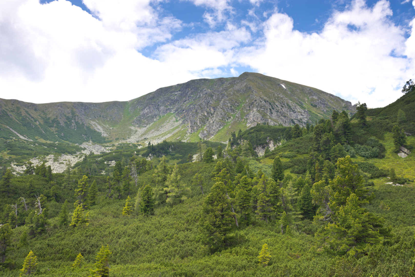 An image depicting the trail Tremel - Ringkogel and its surrounding area.