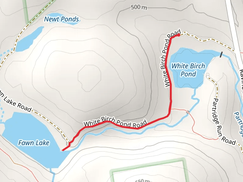 Fawn Lake via White Birch Pond