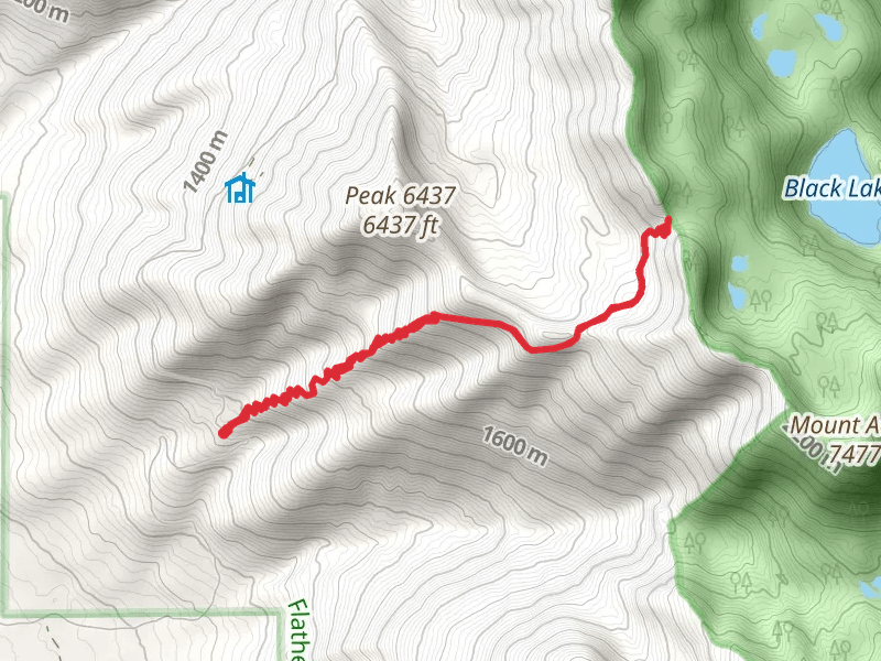 Jewel Basin Road Out and Back