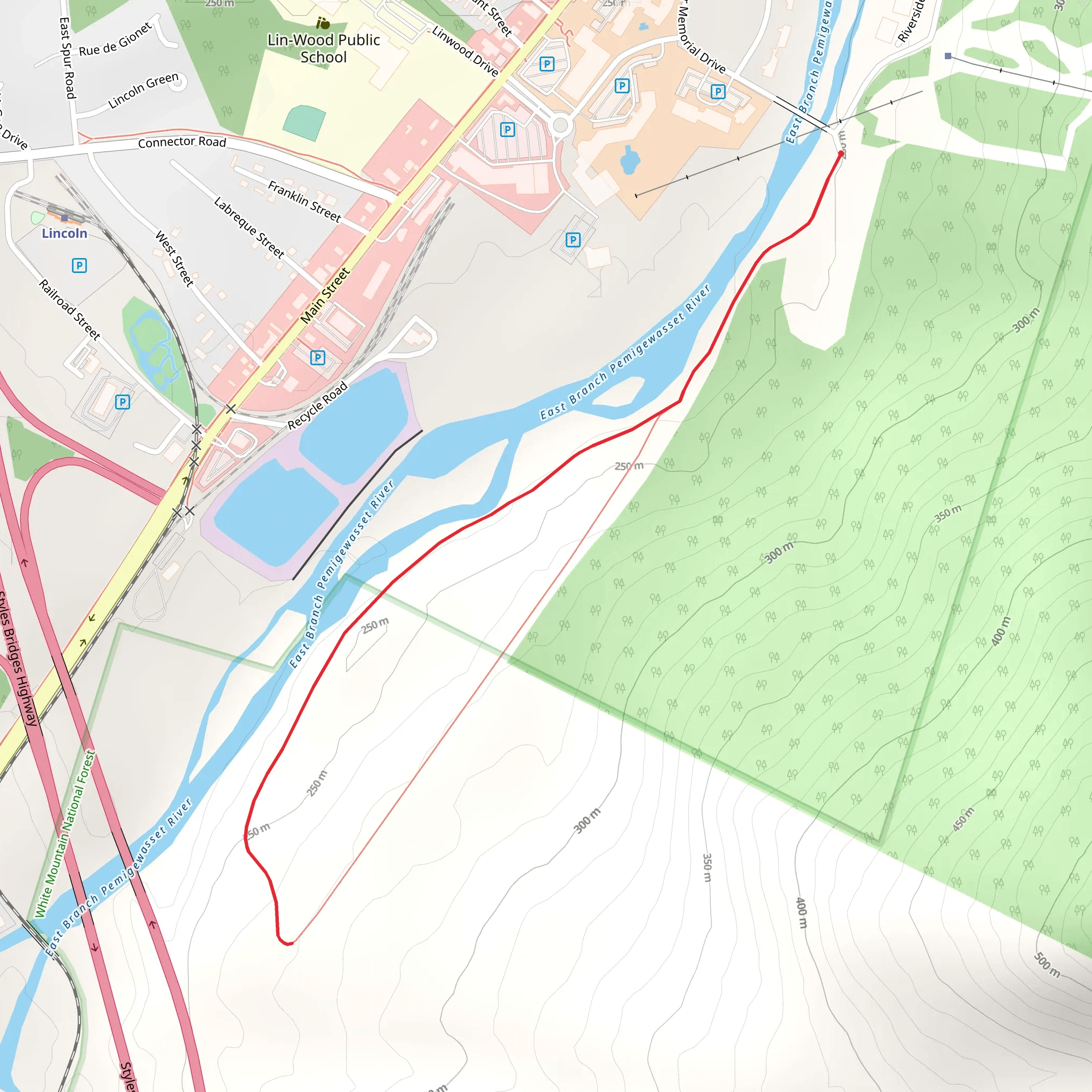 Walk along East Branch Pemigewasset River mobile static map