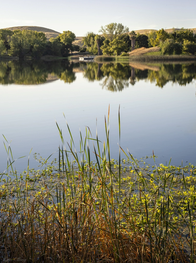 An image depicting the trail Contra Loma Reservoir Shore Loop Trail and its surrounding area.