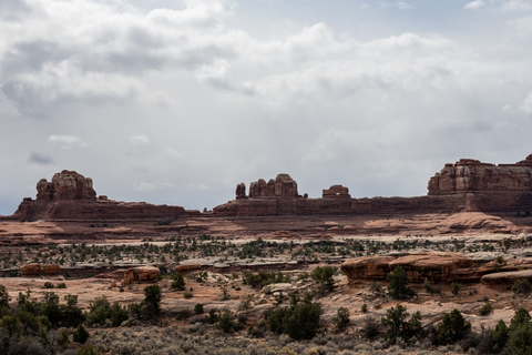 An image depicting the trail Tower Ruins Road via Salt Creek Road Trail and its surrounding area.