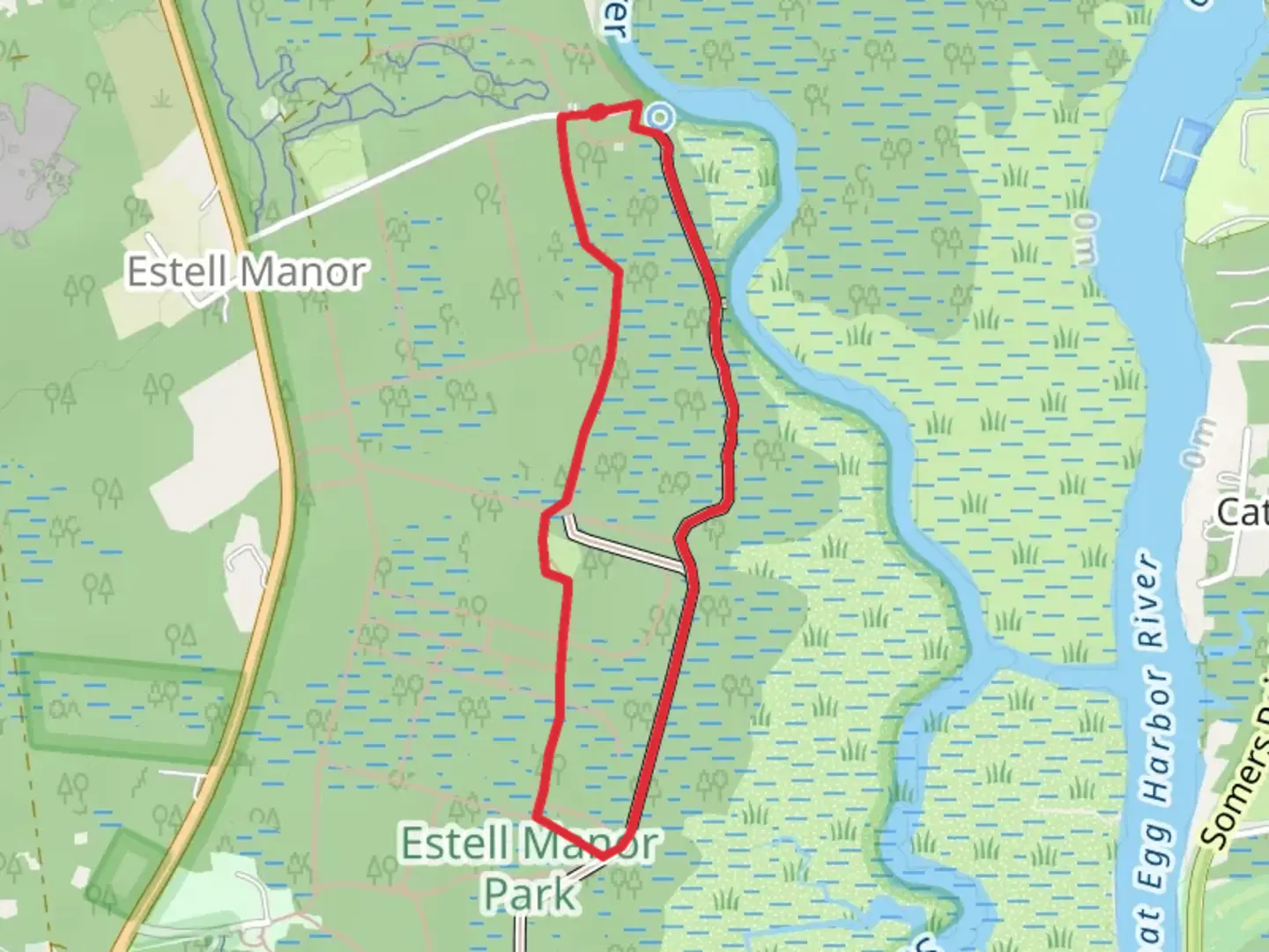 An image depicting the trail Swamp Loop Trail and its surrounding area.