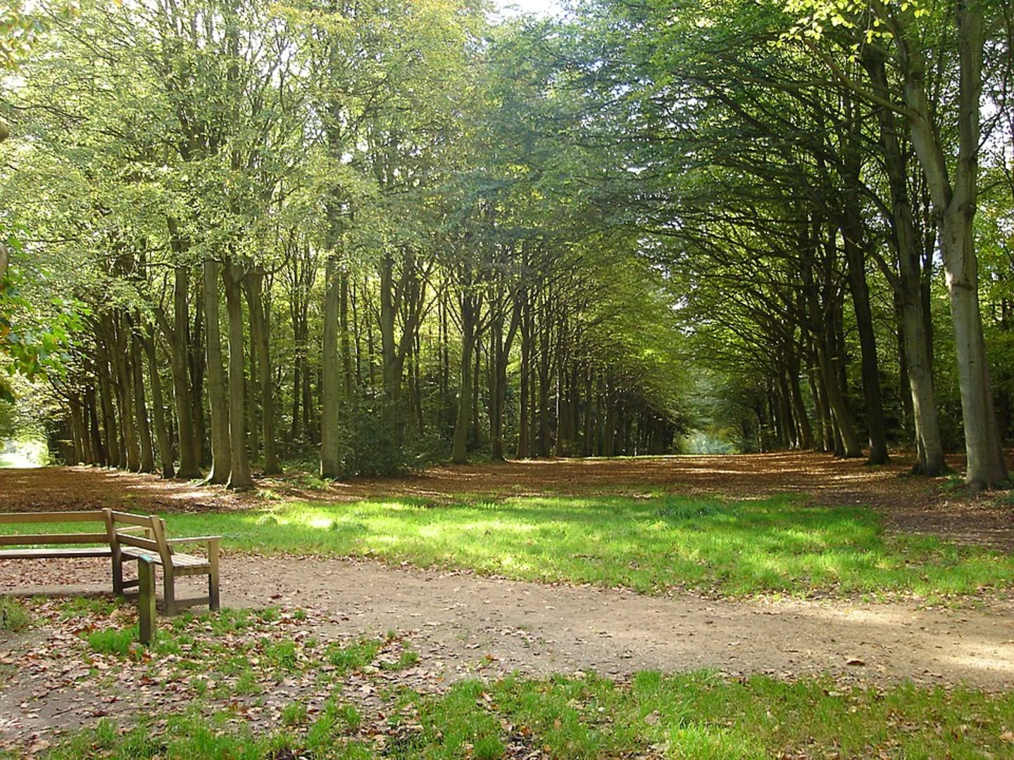 An image depicting the trail Victory Plantation and High Wood and its surrounding area.