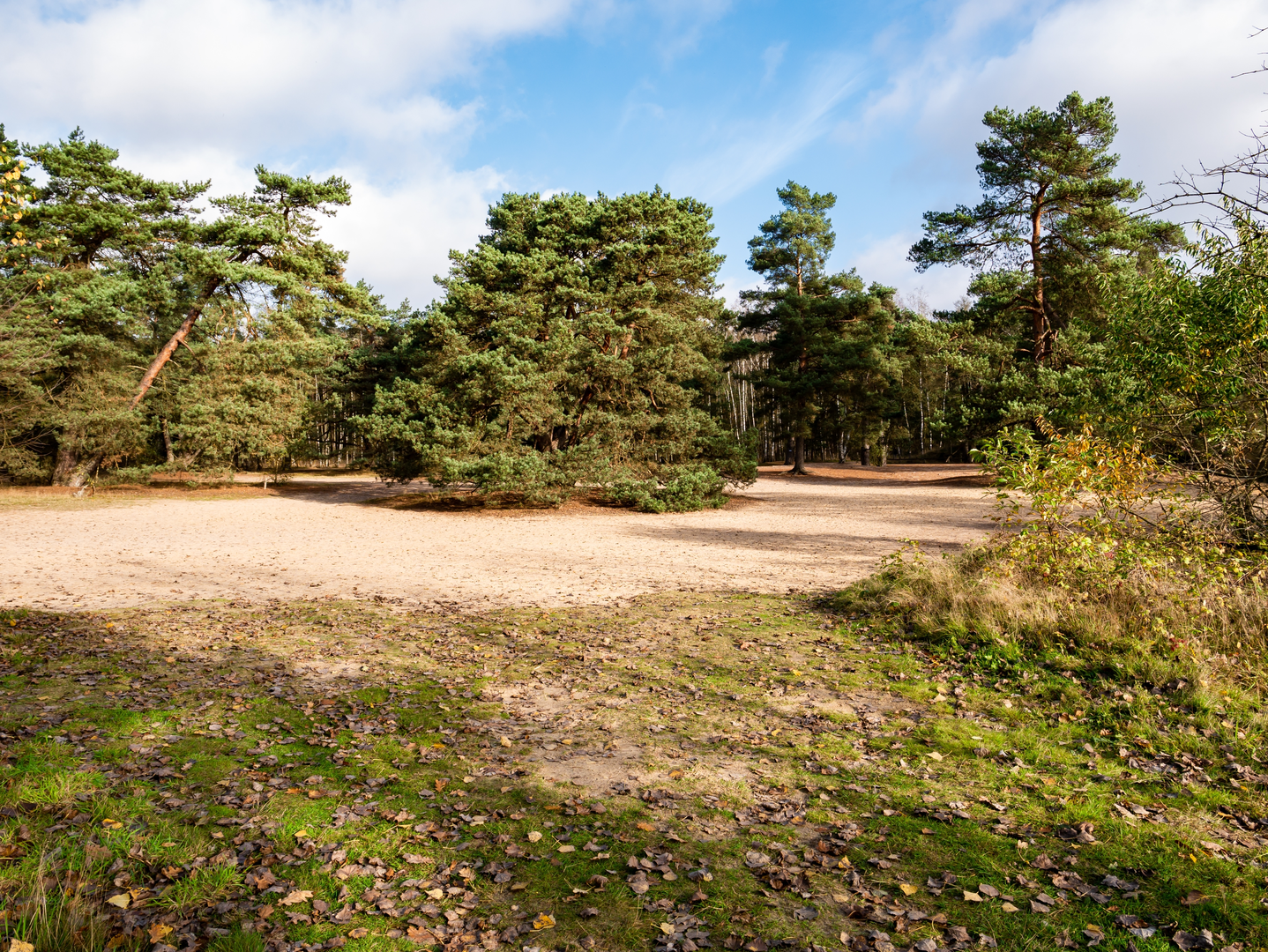 An image depicting the trail Drielandweg, Oelemars and Beuningen Loop and its surrounding area.